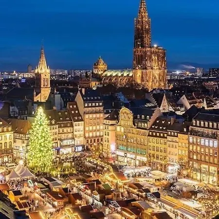 Logement Entier Proche Gare Et Hypercentre Appartement Strasbourg